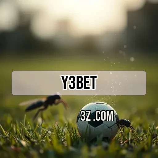 y3bet.com Ofertas